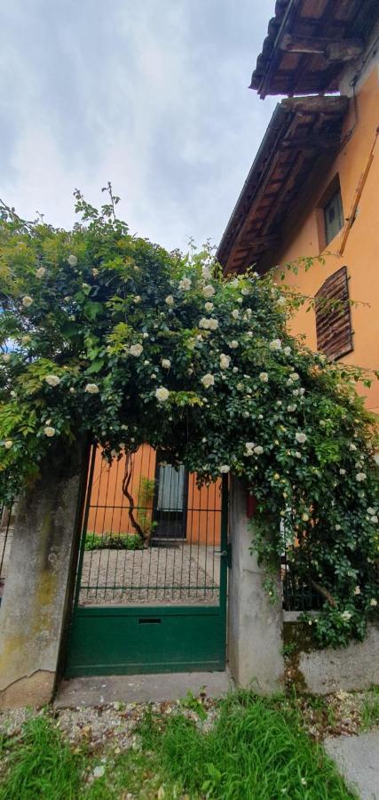Nogaredo di Prato Casa Vacanze Tredis מראה חיצוני תמונה